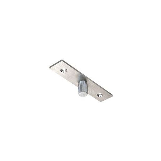 99000 - Top Center-Hung Free Swing Pivot