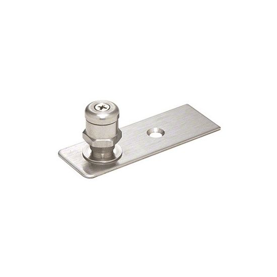 27407 Floor Mount Free swing Pivot 