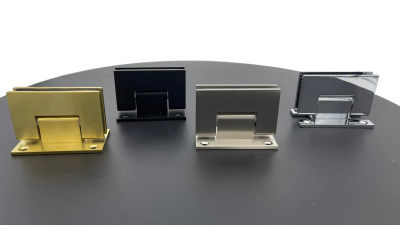 Frameless Glass Shower Hinges